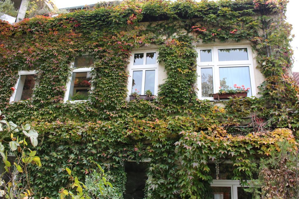 Hotel Wiener Kindl Extérieur photo